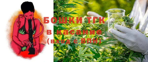 дживик Абаза