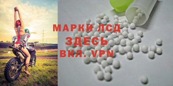 дживик Абаза
