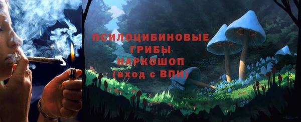 дживик Абаза