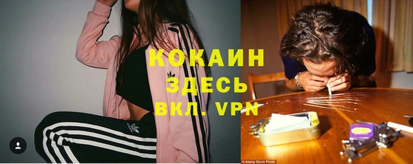 дживик Абаза