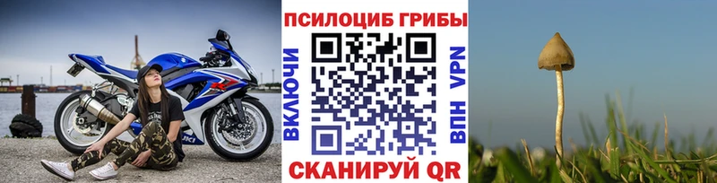 OMG рабочий сайт  Урус-Мартан  Псилоцибиновые грибы MAGIC MUSHROOMS 