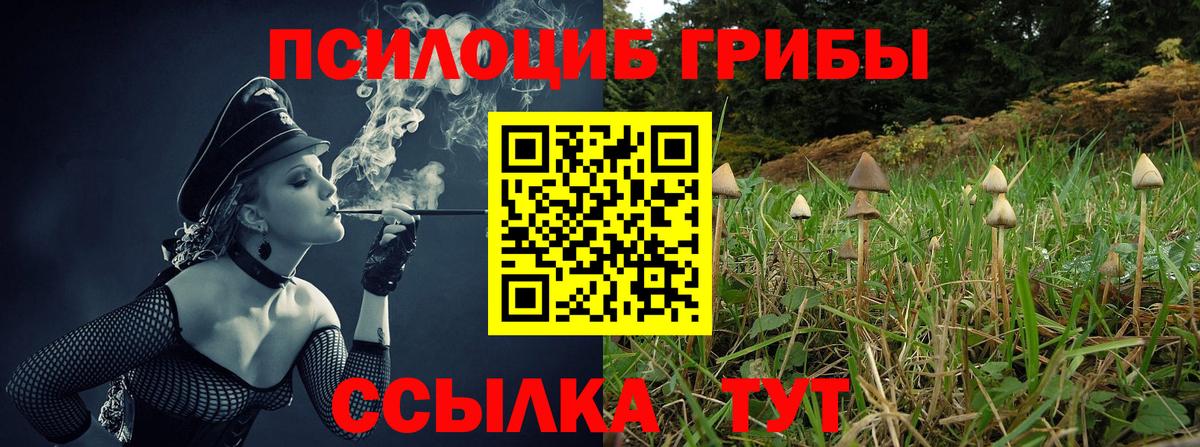 Галлюциногенные грибы мицелий  Вход с VPN  Галлюциногенные грибы мицелий  Урус-Мартан 